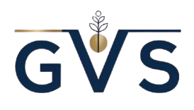 GVS Consultoria