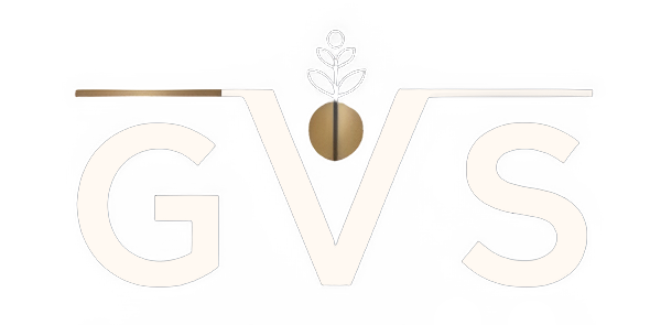 GVS Consultoria